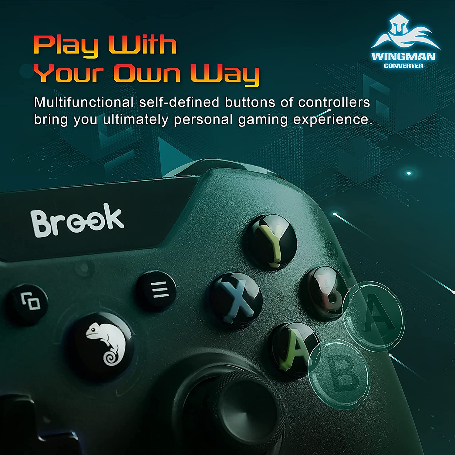 Brook Wingman PS2 Converter