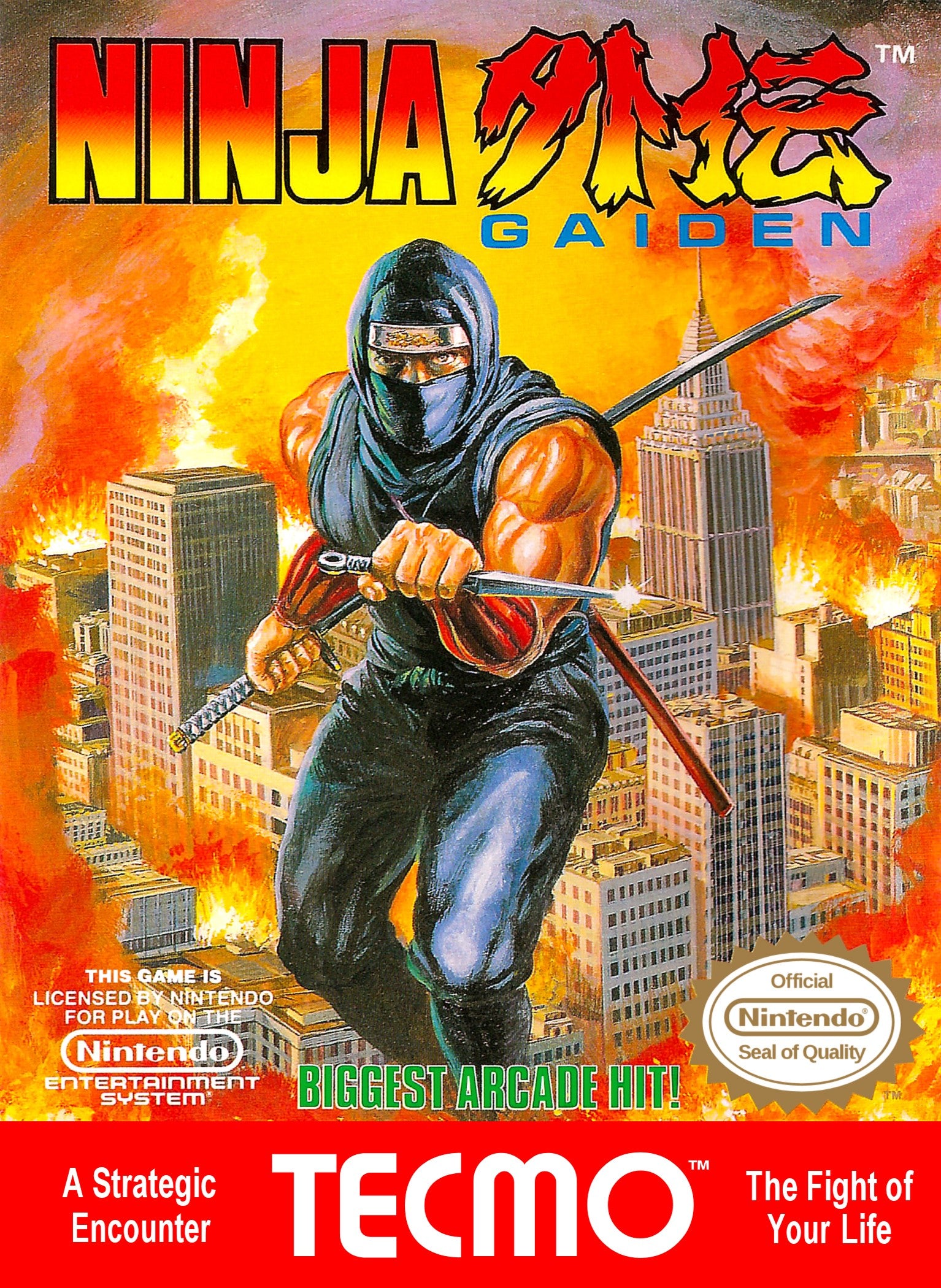 Ninja Gaiden NES - Video Game - Used - CaveGamers