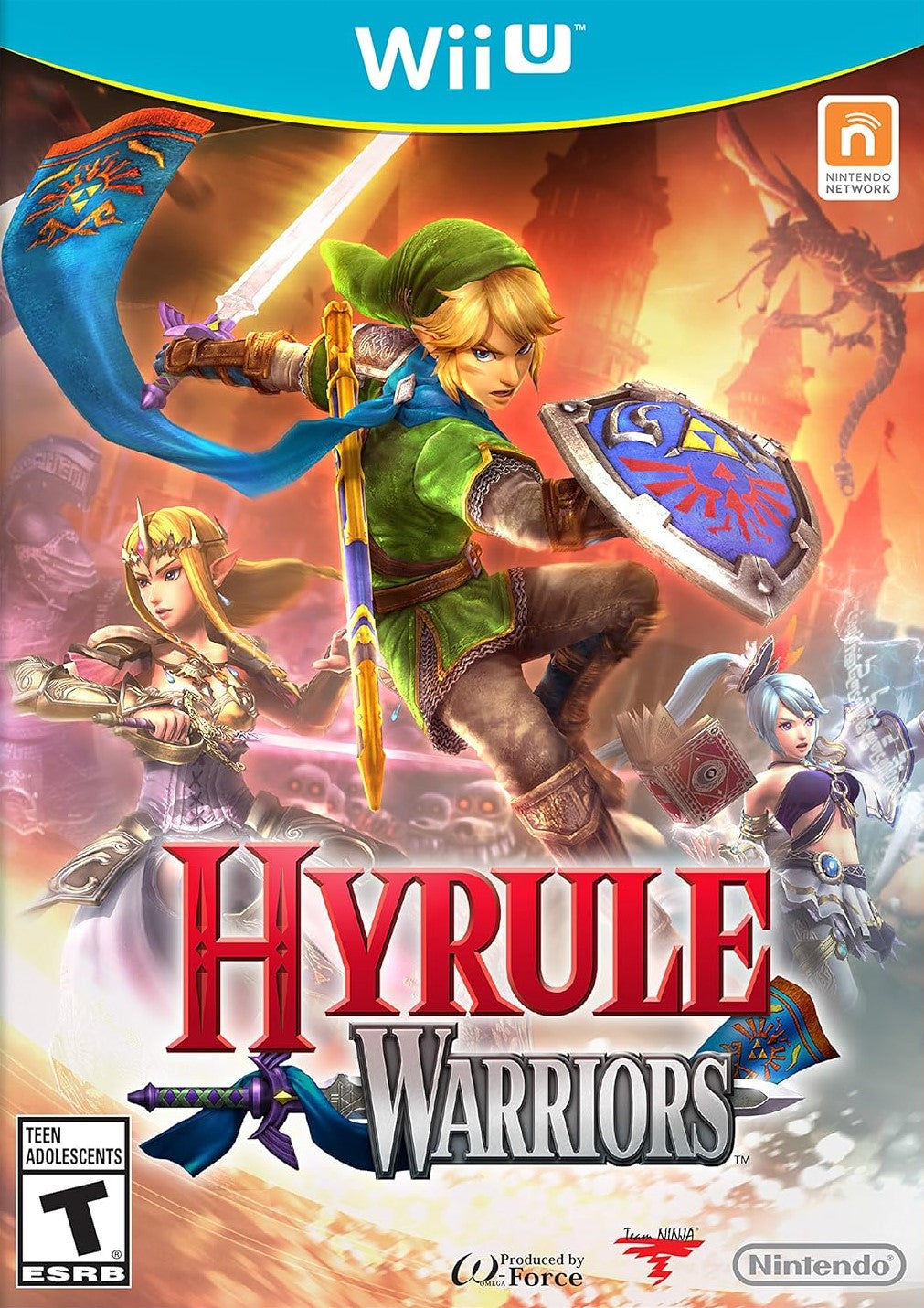 Hyrule Warriors Wii U - Video Game - Used - CaveGamers
