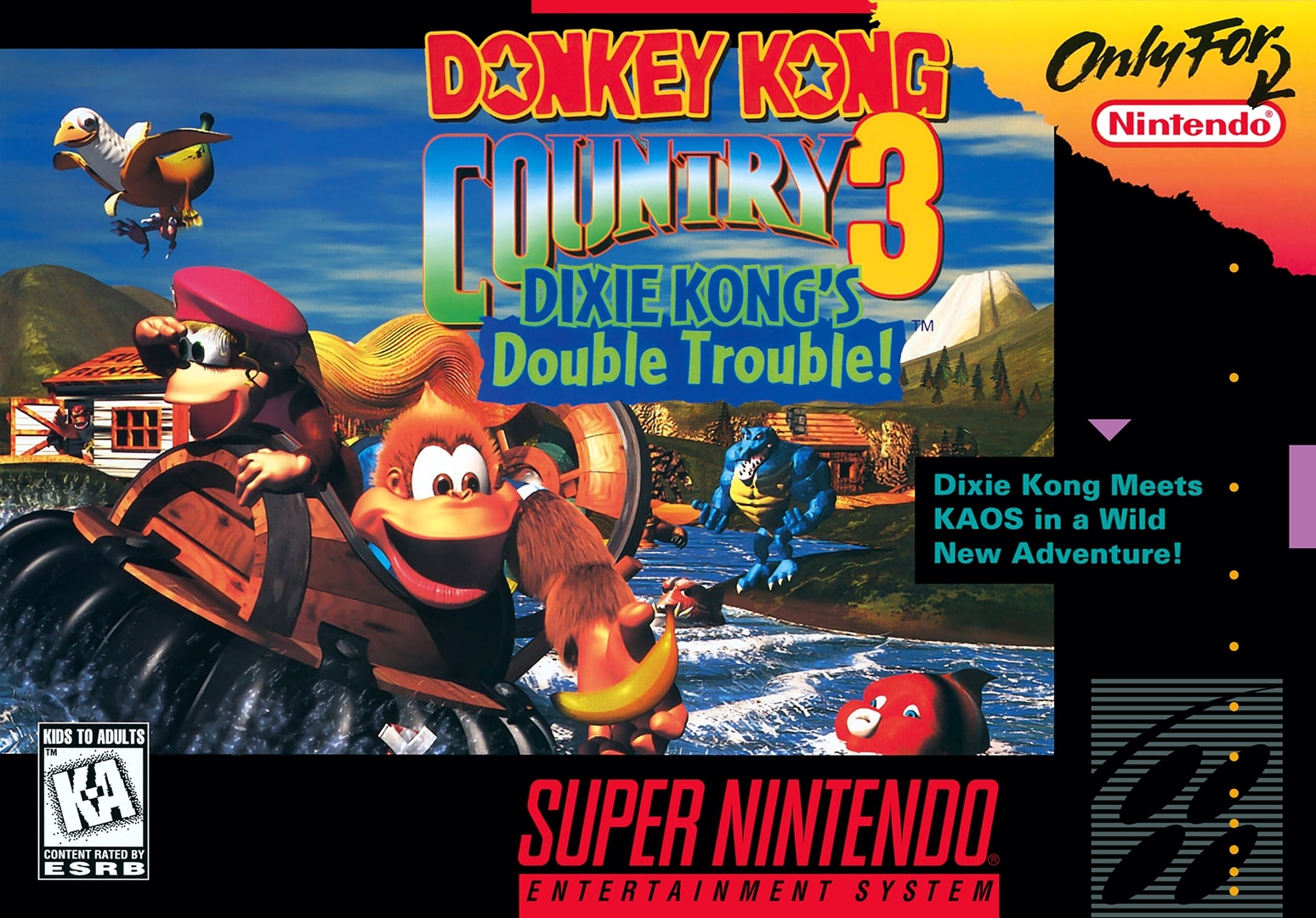 Donkey Kong Country 3