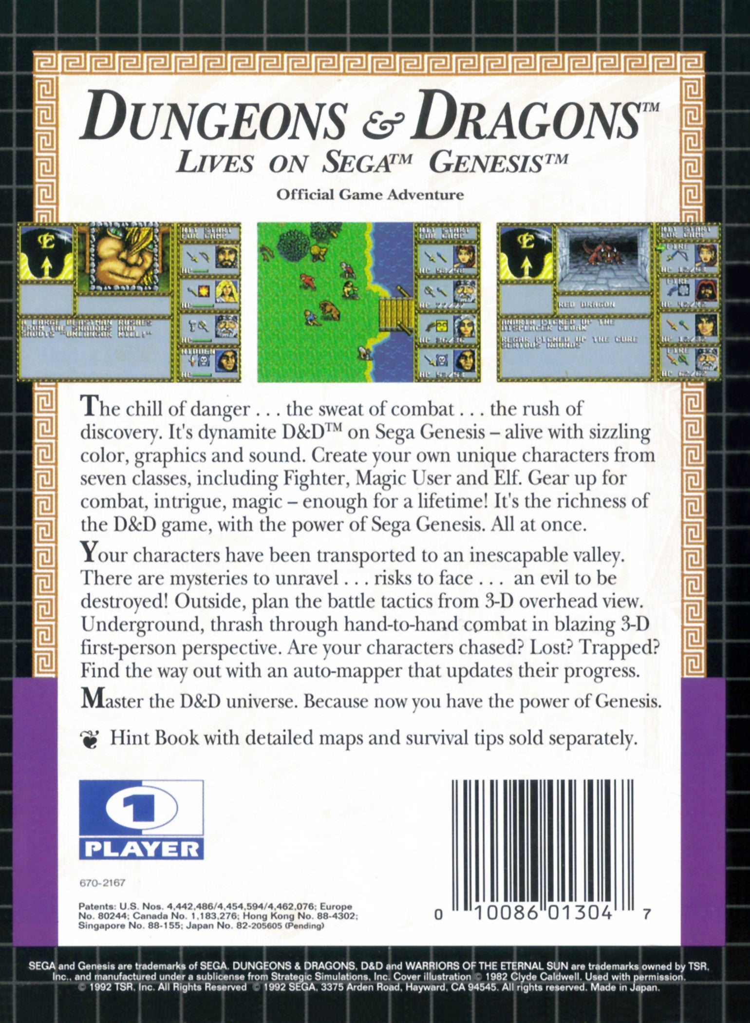 Dungeons & Dragons Warriors of the Eternal Sun