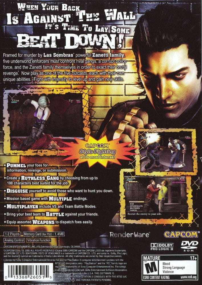 Beat Down Fists of Vengeance PS2 - Video Game - Used - CaveGamers - Image 2