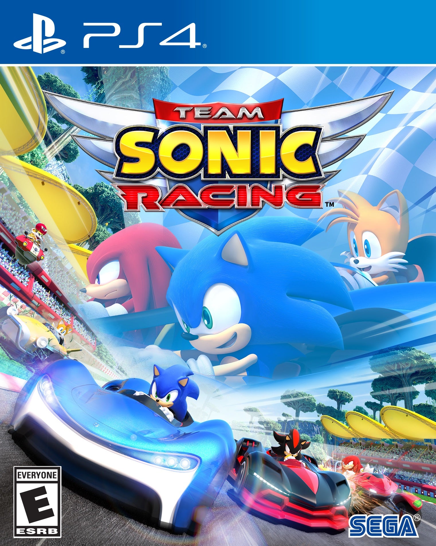 Team Sonic Racing PS4 - Video Game - Used - CaveGamers