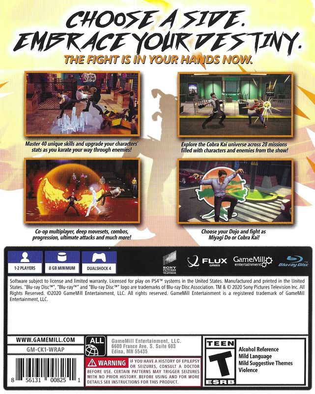 Cobra Kai: The Karate Kid Saga Continues