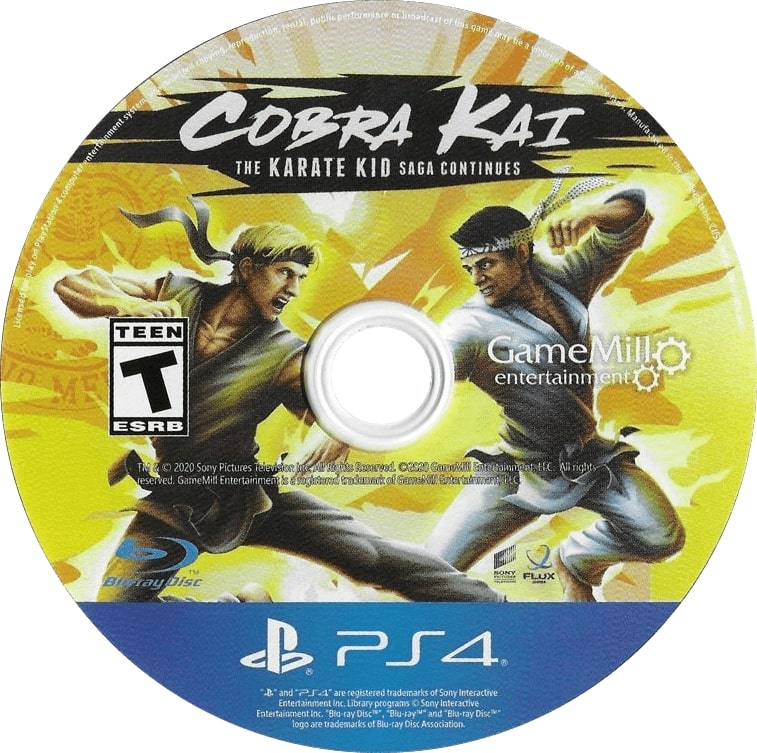 Cobra Kai: The Karate Kid Saga Continues