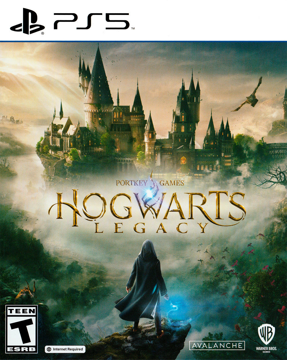 Hogwarts Legacy PS5 - Video Game - Used - CaveGamers