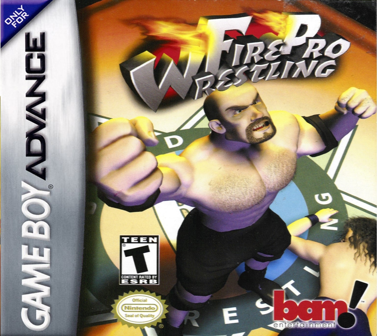 FirePro Wrestling Game Boy Advance - Video Game - Used - CaveGamers