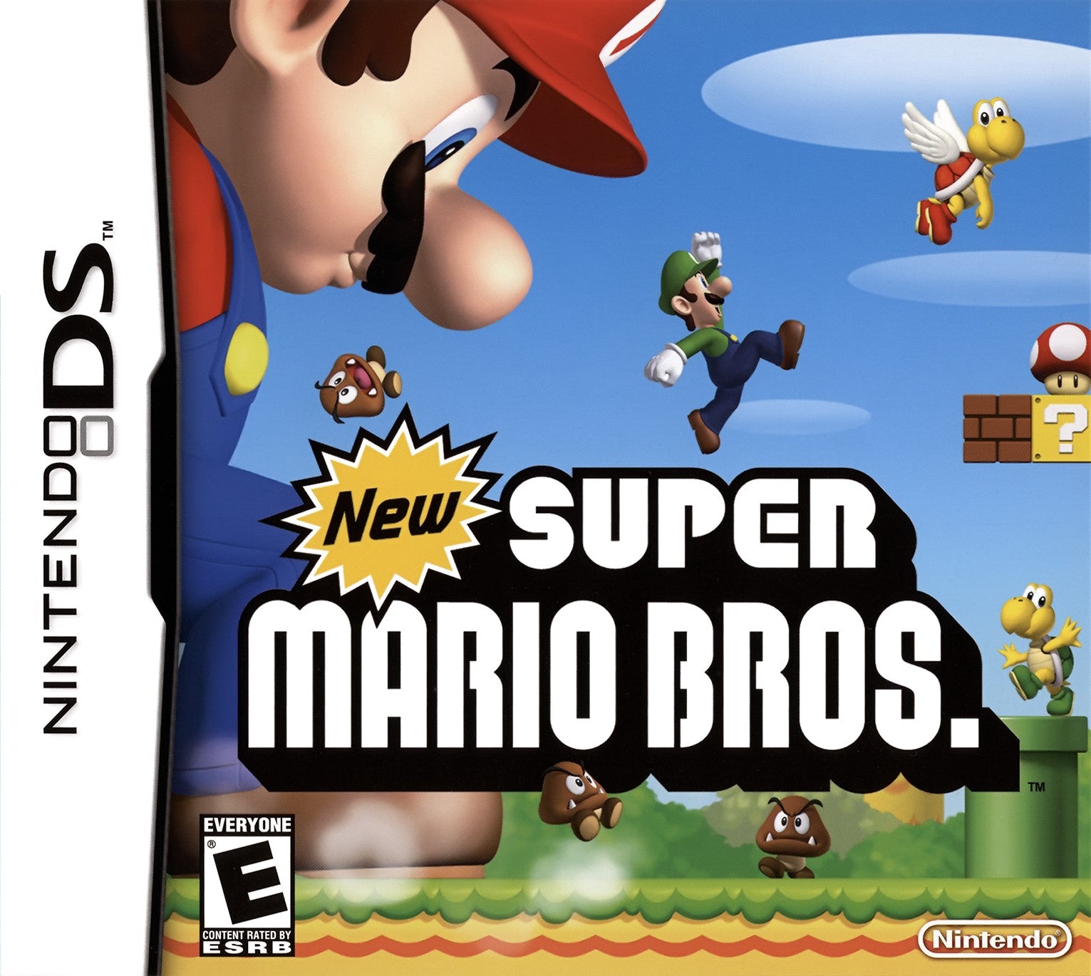 New Super Mario Bros DS - Video Game - Used - CaveGamers