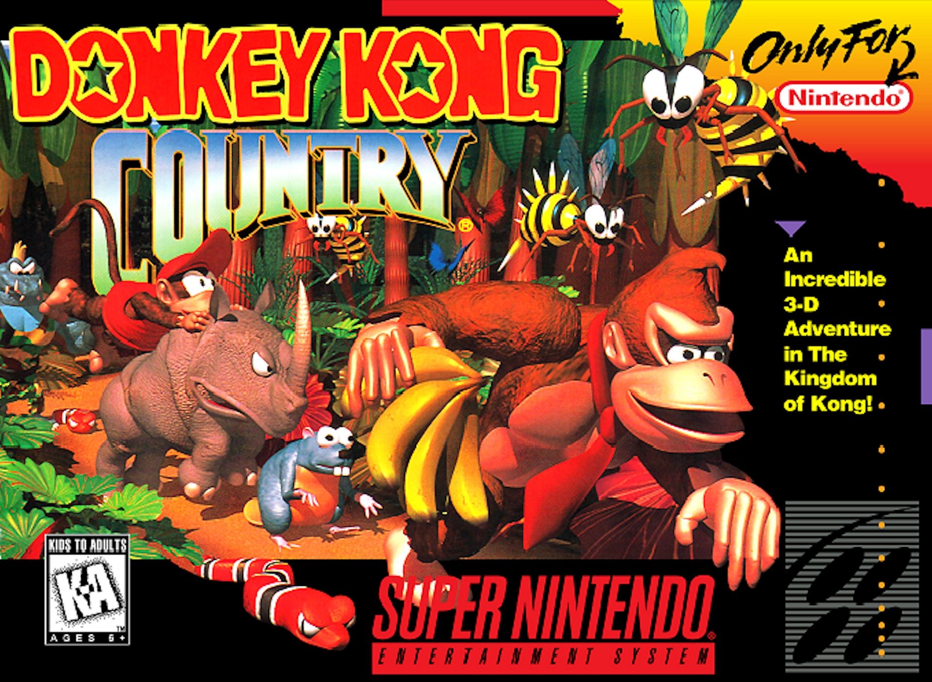 Donkey Kong Country SNES - Video Game - Used - CaveGamers