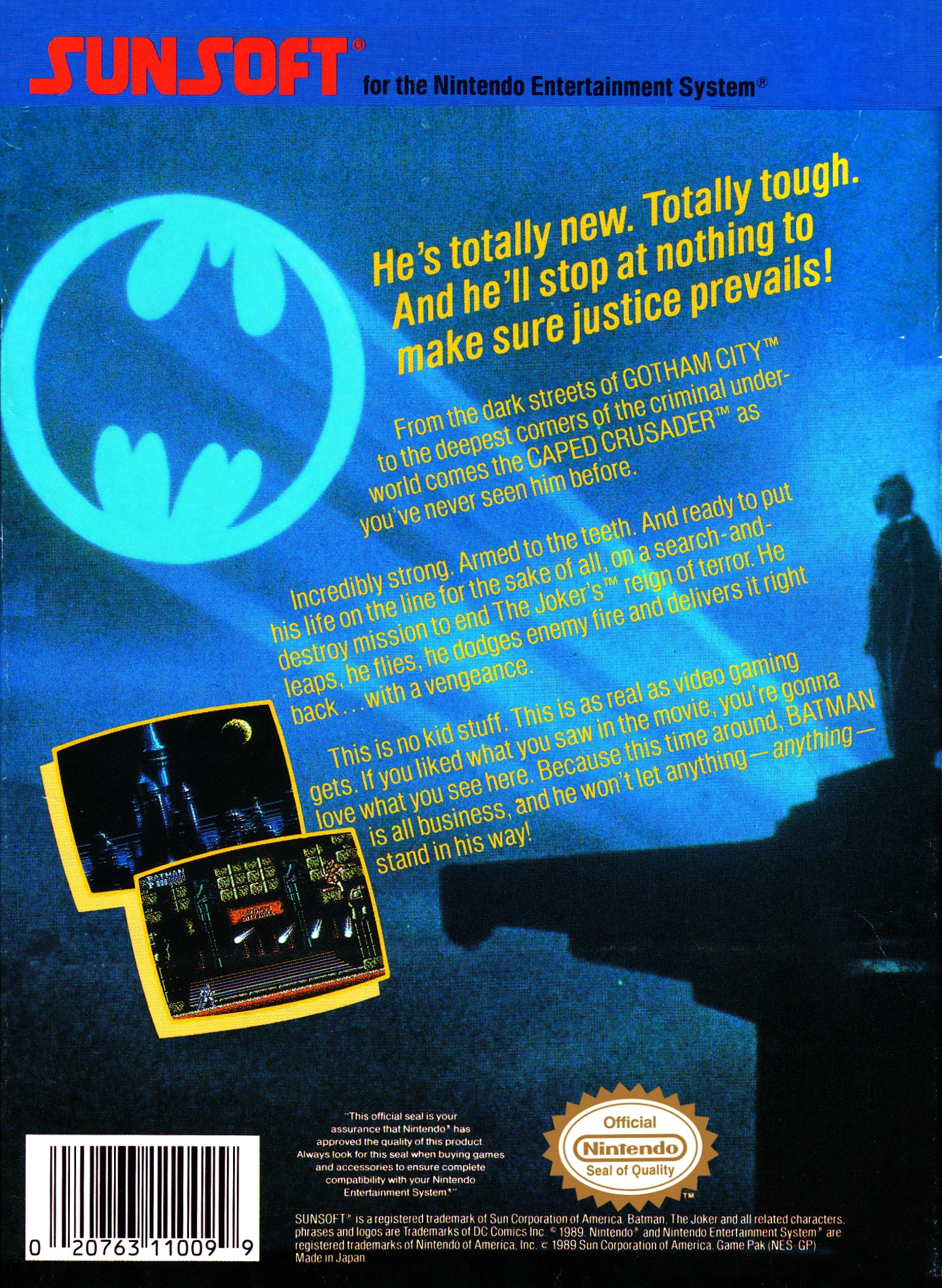 Batman The Video Game
