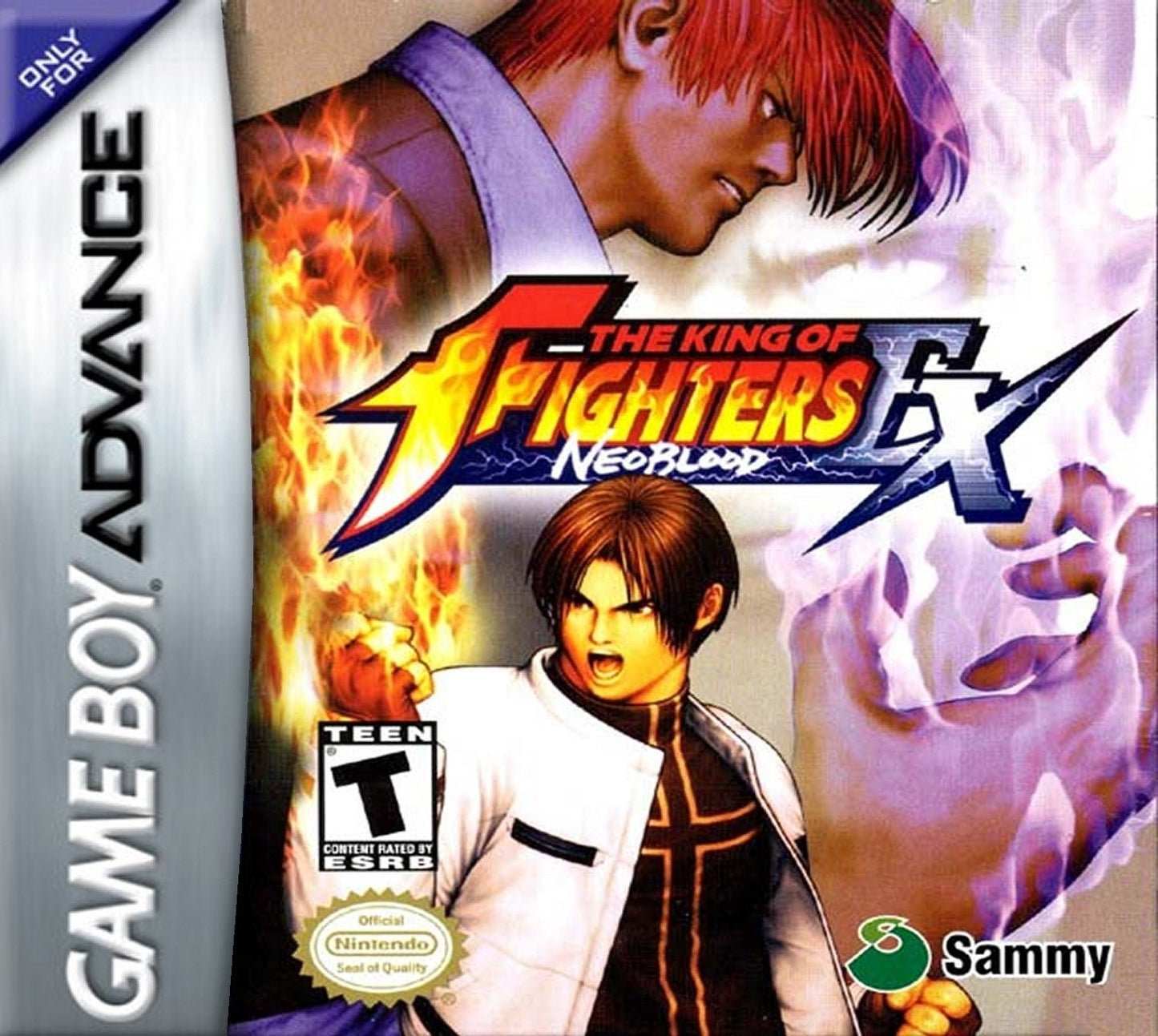 King of Fighters Ex: Neo Blood